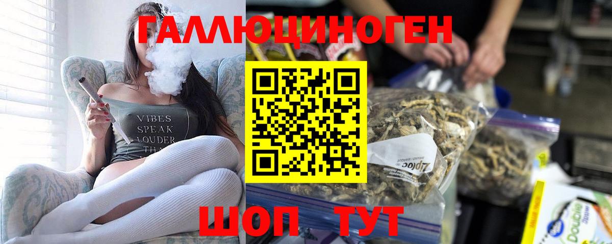 продажа наркотиков  Псилоцибиновые грибы Psilocybine cubensis  Вход с VPN  Каменка 