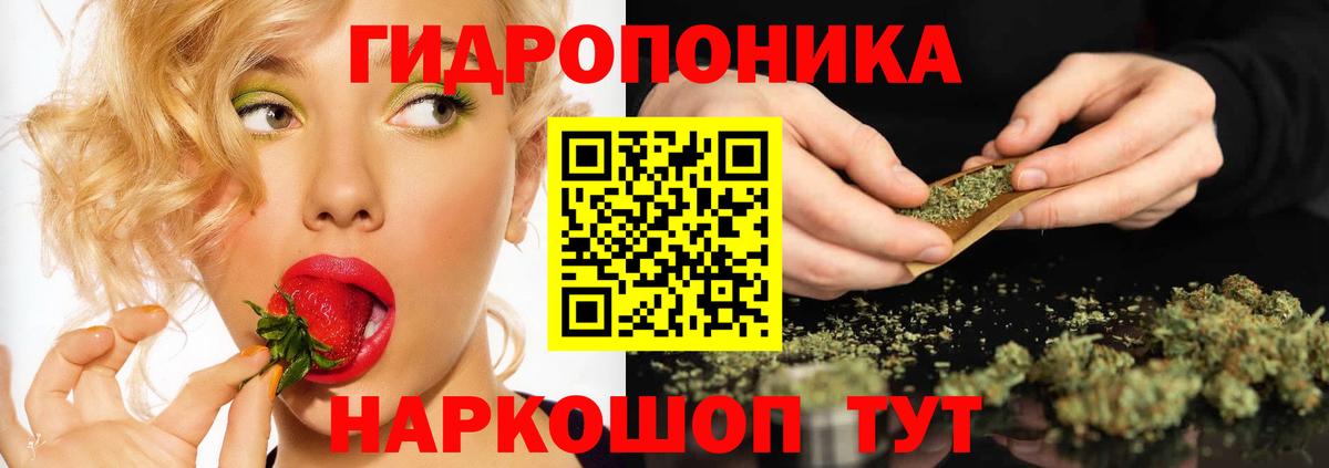 Марихуана семена Каменка